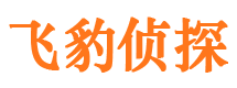 宁南市调查公司